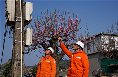 P/S ảnh: PC Sơn La phấn đấu hoàn thành các chỉ tiêu được giao trong năm 2025