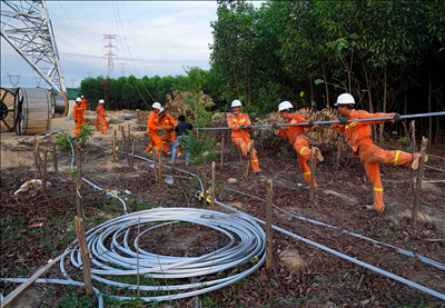 PTC3 hoàn thành xuất sắc nhiệm vụ đảm bảo cung ứng điện năm 2024 