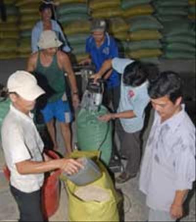 Rice husks may fuel Cuu Long (Mekong)