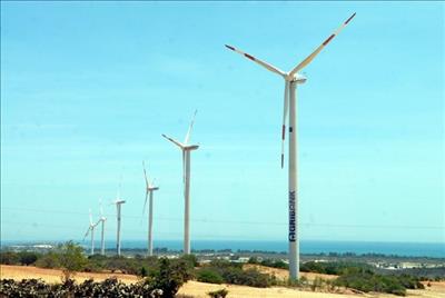 Ninh Thuan aims to become renewable energy centre