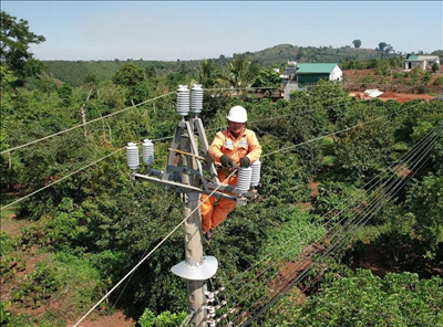 PC Đắk Lắk: Triển khai phương án đảm bảo cấp điện các dịp lễ, Tết và mùa khô 2025