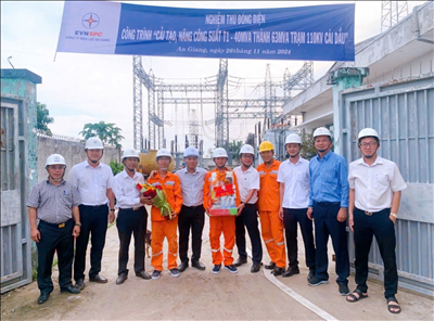 Nghiệm thu đóng điện Công trình cải tạo, nâng công suất Máy biến áp T1 Trạm 110kV Cái Dầu (An Giang)