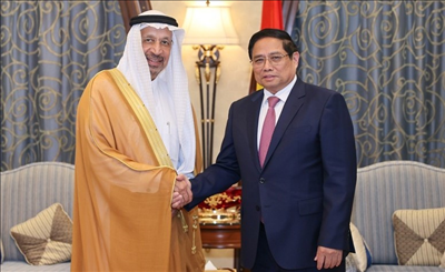 Saudi Arabian energy giant ACWA Power ready to invest $5 bln in Vietnam