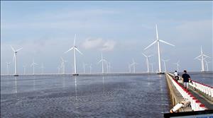 Doanh nghiệp Nhật Bản đề xuất đầu tư dự án điện gió 