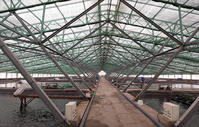 Germany supports installation of solar panels on aquaculture farms in southern Vietnam