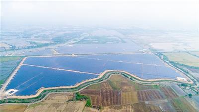 Wise steps in investing in renewable energy sector in Vietnam