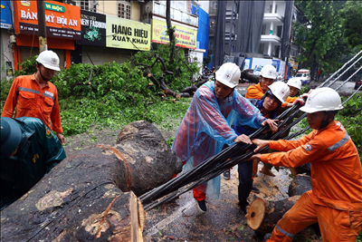 P/S ảnh: Ngành điện Hà Nội khẩn trương khắc phục hậu quả cơn bão số 3