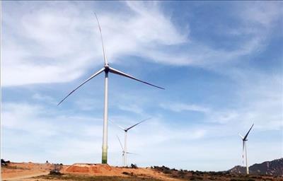 Vietnam needs stable legal framework for wind power: workshop