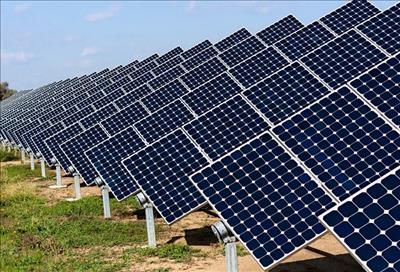 Japanese group eyes solar plant in Bình Phước