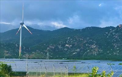 Ninh Thuan strives to become renewable energy hub