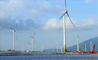 Human capital crucial for Việt Nam to develop renewable energy: experts