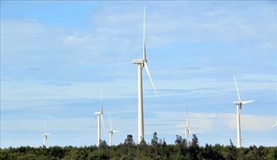 Expert: Law on renewable energy needed