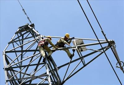 Power transmission grid should be developed: insiders