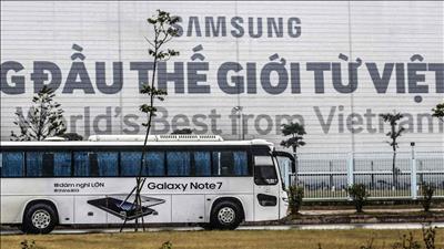 Samsung urged to use 100% green energy in South Korea and Vietnam