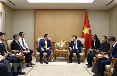 Deputy PM hosts investors interested in LNG power development in Vietnam