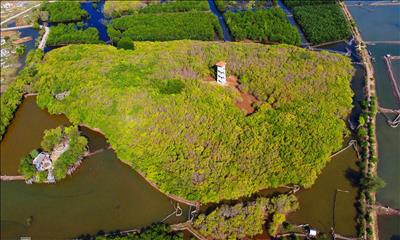 USAID helps Vietnam's climate change fight with two new projects