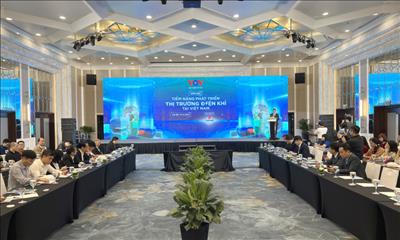 “Tiềm năng phát triển thị trường điện khí tại Việt Nam