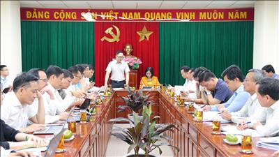 UBND tỉnh Đồng Nai làm việc với Tập đoàn Điện lực Việt Nam