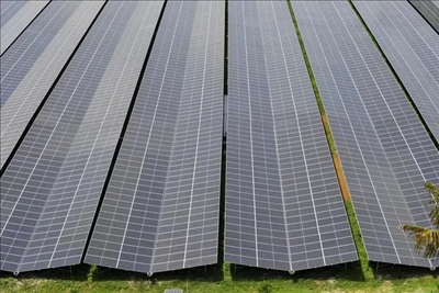 Singapore xây dựng trang trại năng lượng mặt trời nổi lớn nhất nước