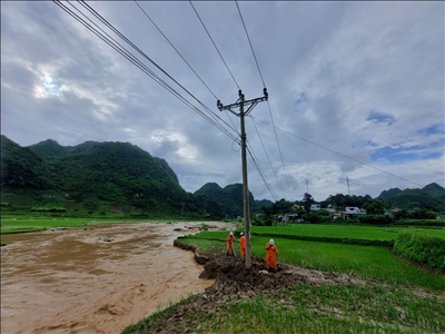 Công ty Điện lực Sơn La: Khôi phục cấp điện trở lại cho 15.589 khách hàng