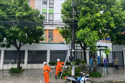 Electricity supply resumed to over 4.8 million customers affected by typhoon