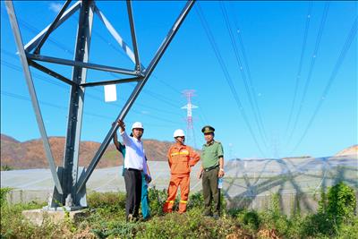 Chủ động triển khai nhiều biện pháp đảm bảo cung cấp điện dịp lễ 30/4 và 1/5 tại Bình Thuận