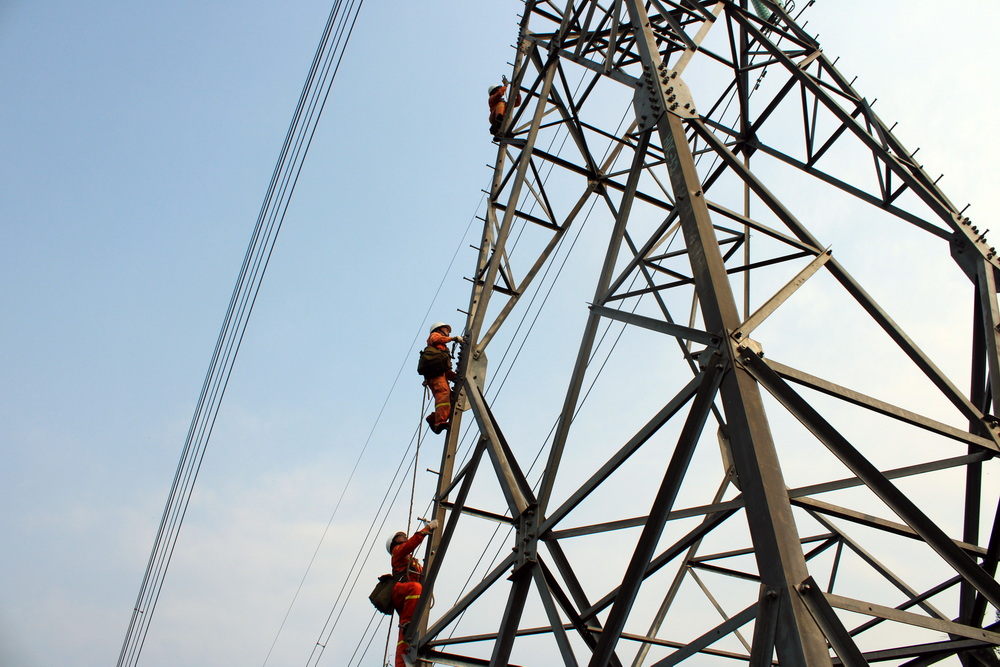 EVNNPT và RTEi khảo sát thi công sửa chữa đường dây trên không thuộc Truyền tải điện Hòa Bình